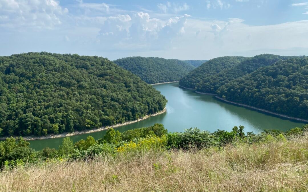 77.5+- Acres Center Hill Lake View, Woodland