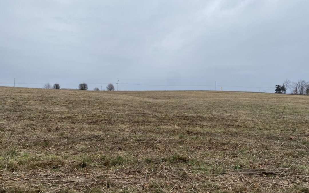 201+/-ACRES • OPEN GROUND • WOODLAND • VIEWS • 7 TRACTS
