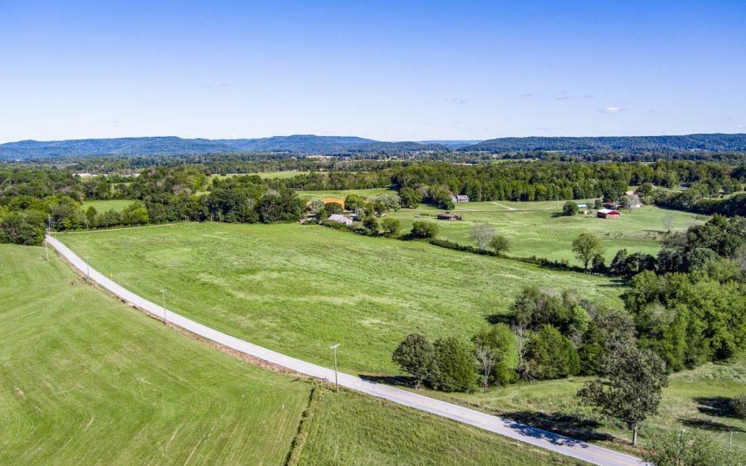 10.42+- Acres • Open Ground • 2 Tracts