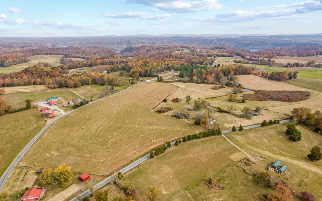 45.28+/-Acres • Open Hay Ground • Older Home • Barns • Pond • 1 Tract