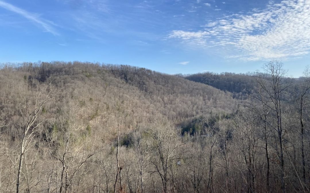 5.42+/- Acres • Mtn Views • Private • 500 sq/ft Tiny Home • River