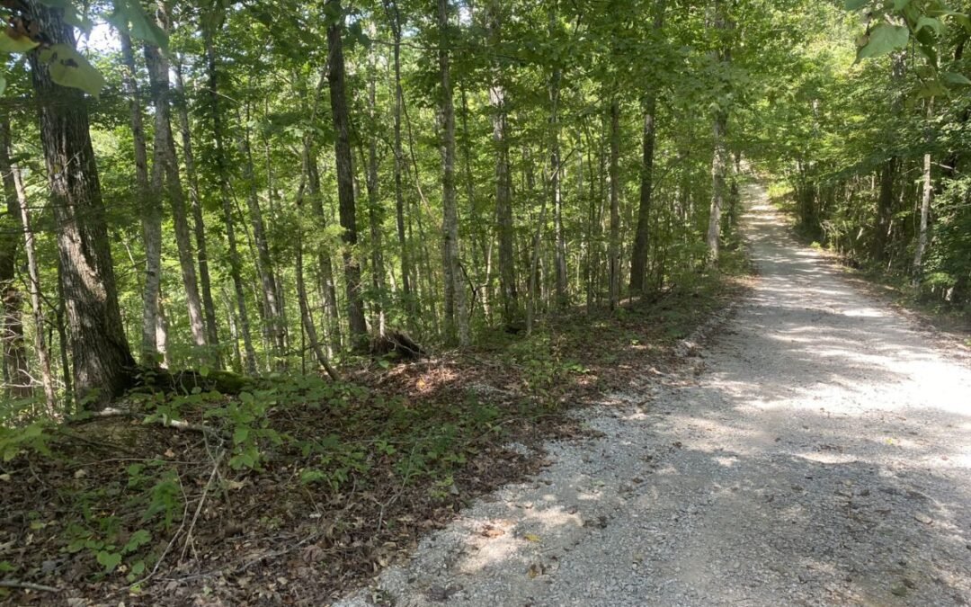 23.03+/- Acres • Woodland • 5 Tracts • Forest Trails