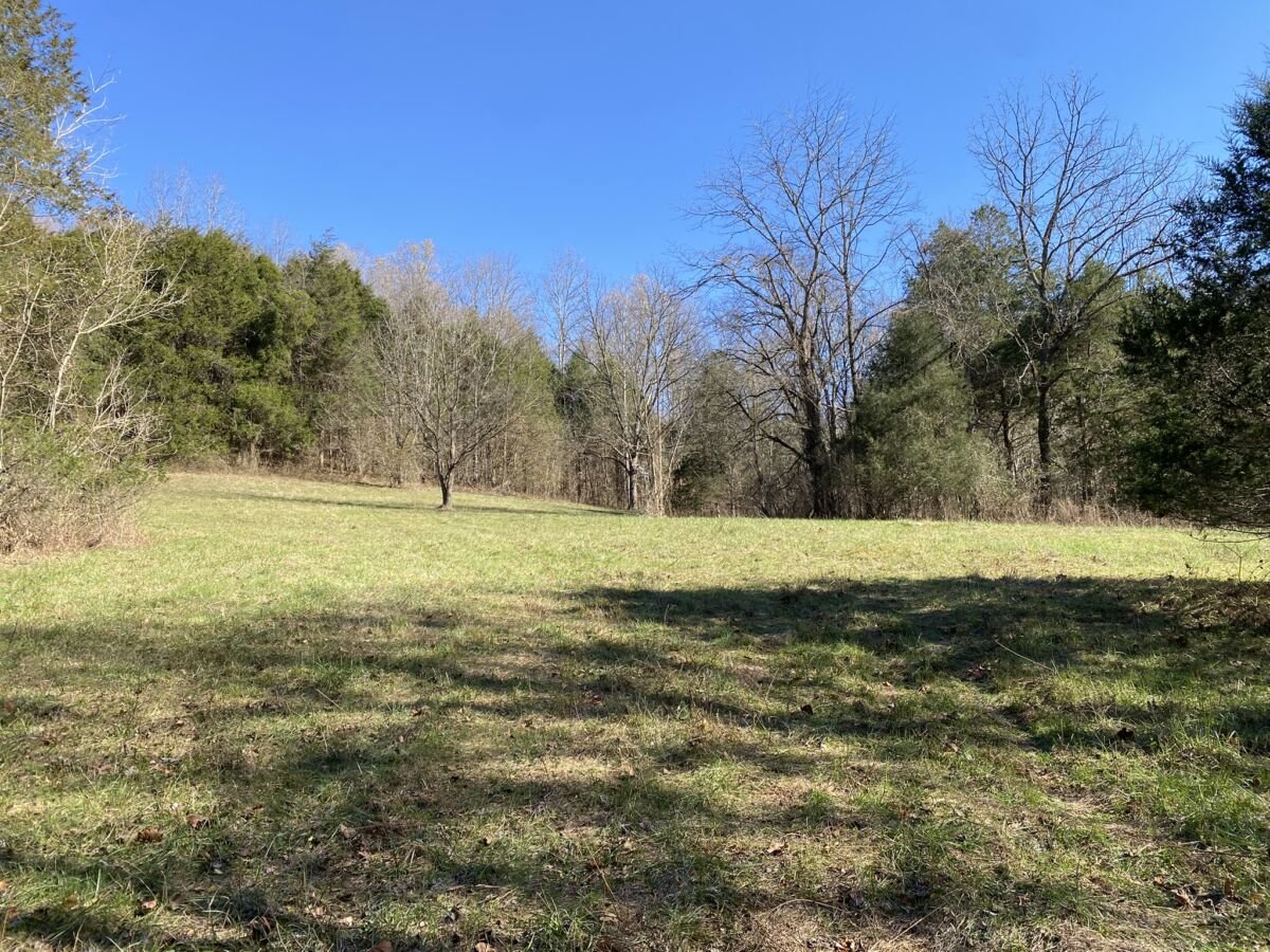 64.79 Acres • Mature Woodland • Private • 1 Tract