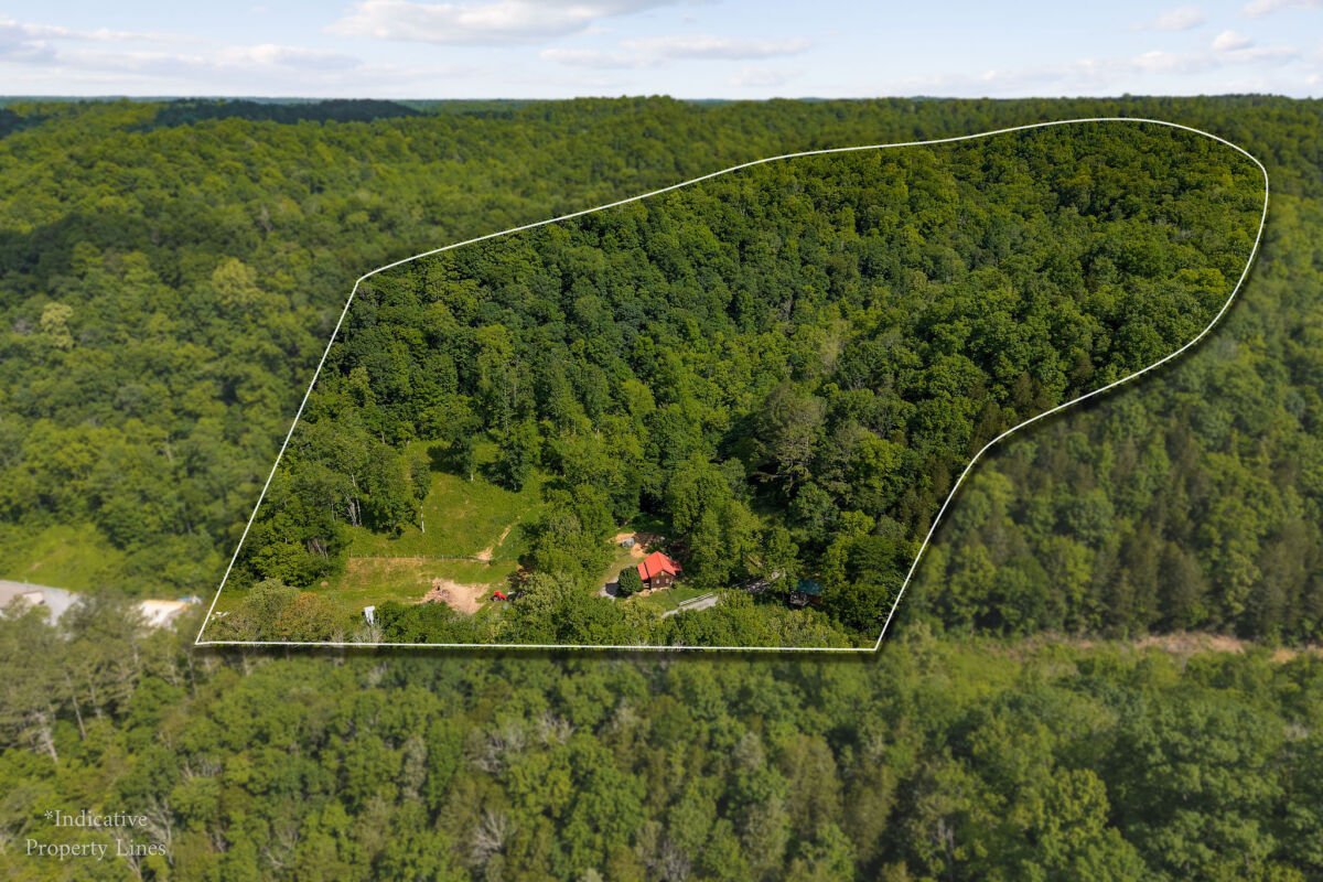 2 Cabins & 65+- Acres • Woodland • Unrestricted • Private